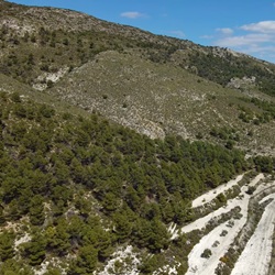 Uitzicht over groene vallei met dierensporen