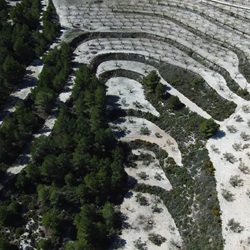 Wilde kruiden en bloemen in Onil