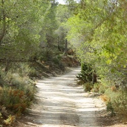 Wandelpad in de bergen