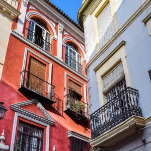 Wonen in Elche tussen palmbomen