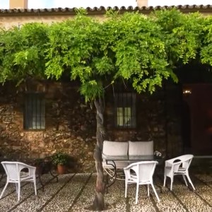 Universiteit als werkgever in San Vicente